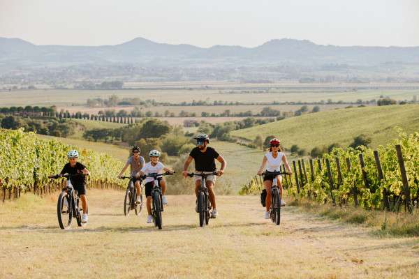 ebike