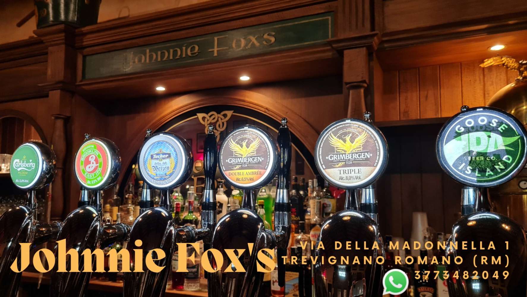 foxtrevignano1