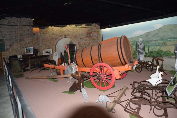 museo b 1775230669554