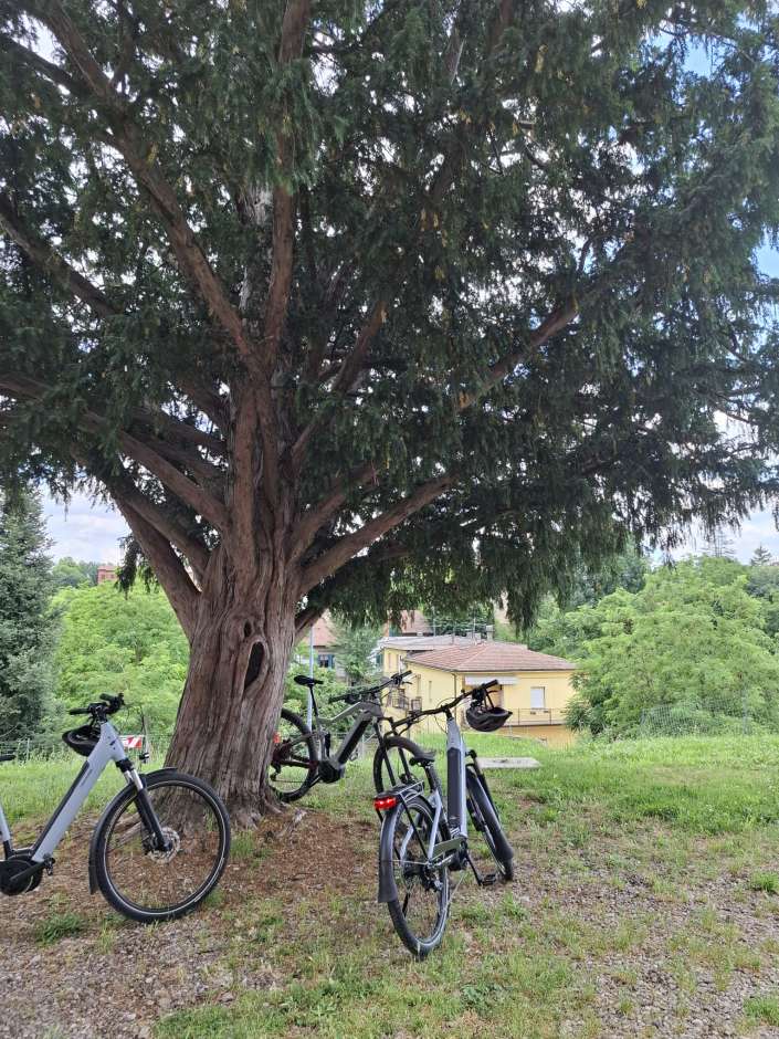 whatsapp image 2025 01 29 at 180702 2