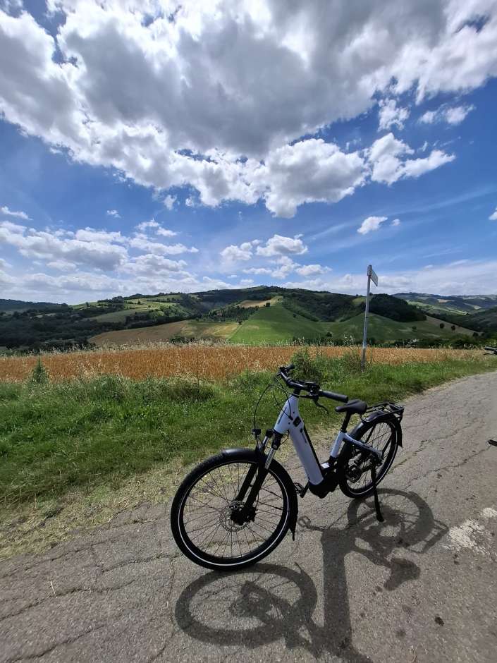 whatsapp image 2025 01 29 at 180704