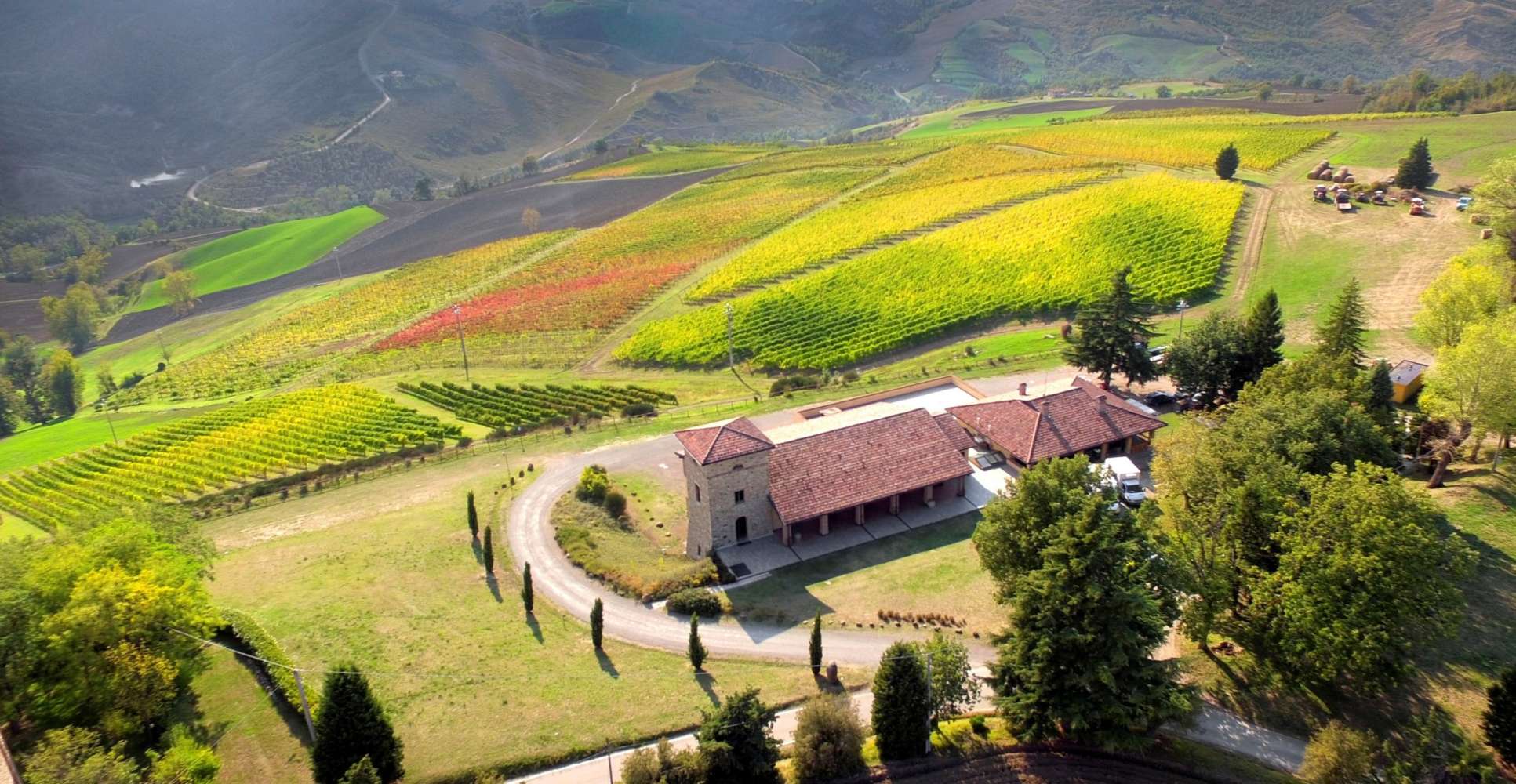 collibolognesi