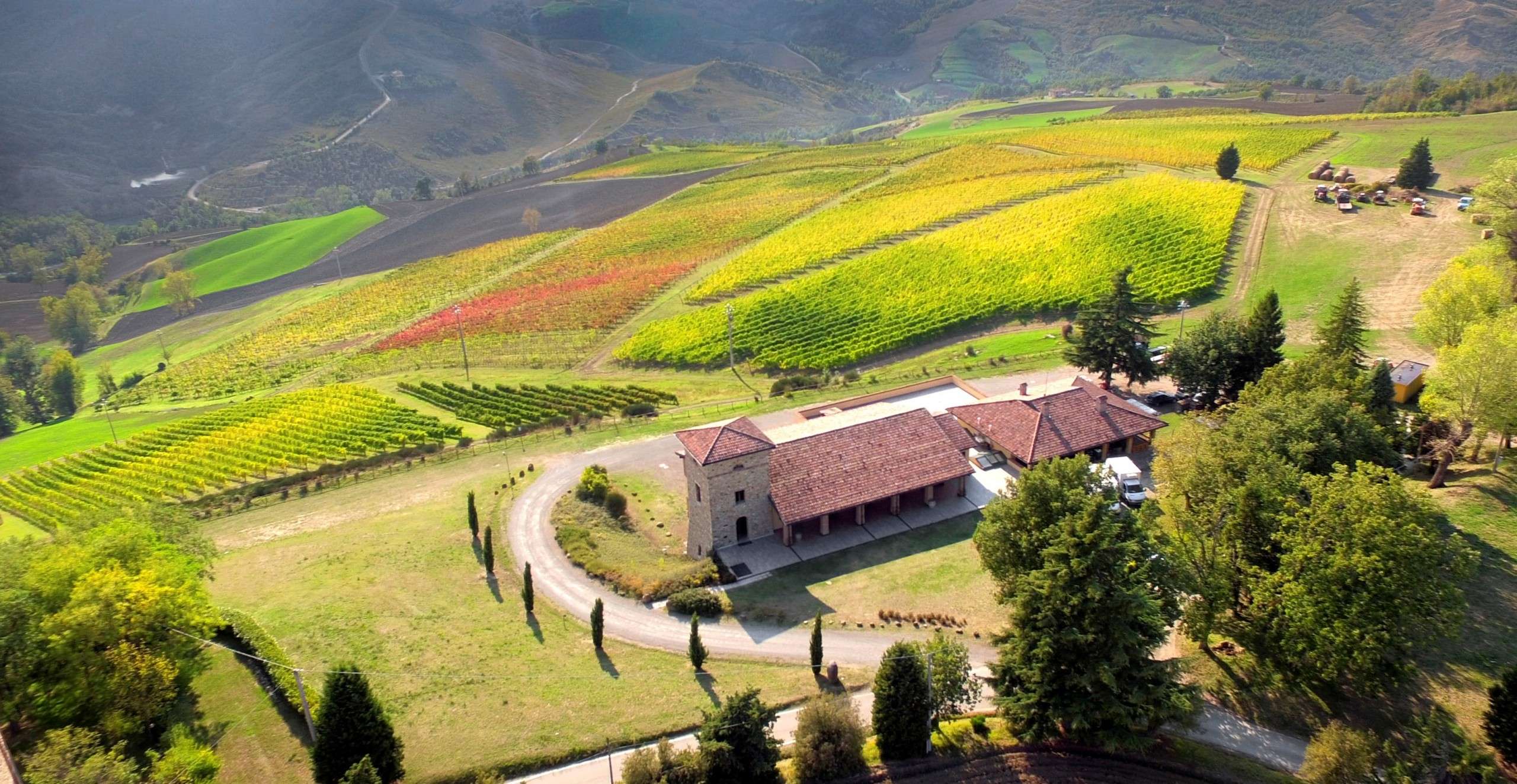 collibolognesi