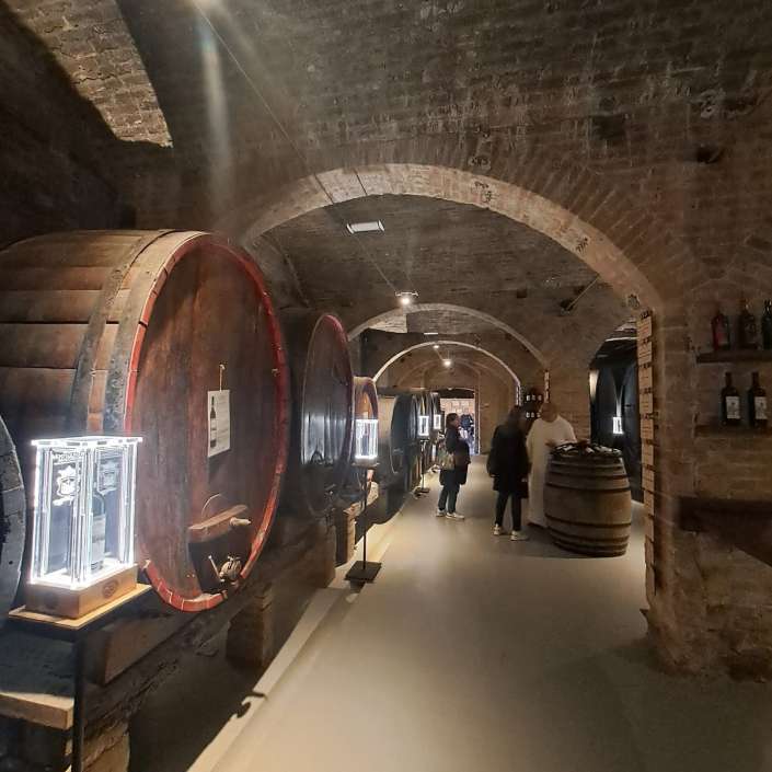 abbazia di monte oliveto maggiore botti vino cantina mi diverto travel 1775228776096