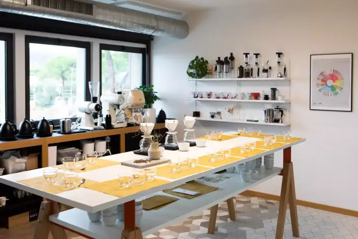 degustazione caffa 18 01 2026 00 18 43