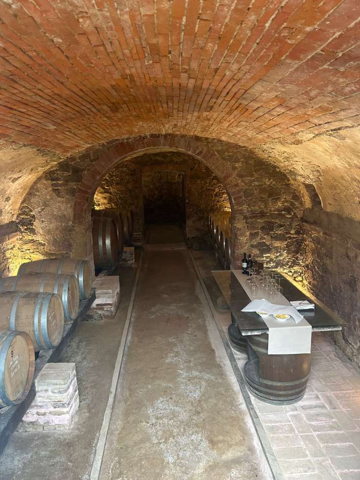 vino 1775229608937